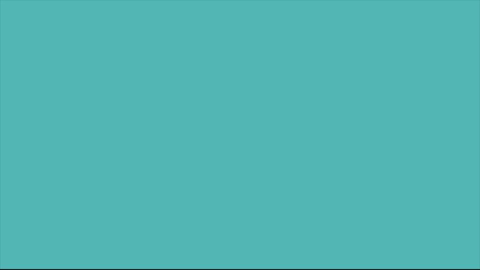navigator.gif