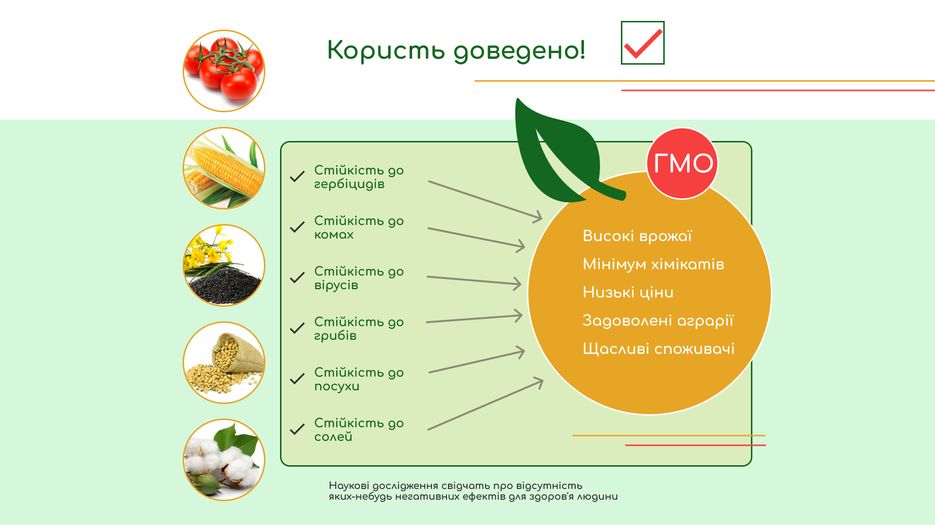 GMO.png