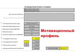 Мотивационные профили и должностные инструкции