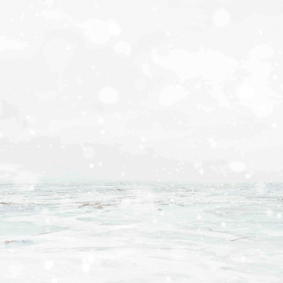 ПPF_038_0217_П19_0087_0304_на-сайт_выгода_-++.gif