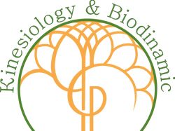 Лого центра "Кинезиологии и биодинамики "