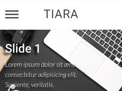 Адаптивная верстка и интеграция c CMS Wordpress