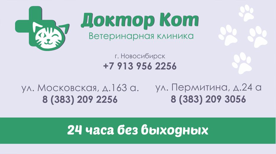 5bd4d884386739.5d5ba4a319c8c.png