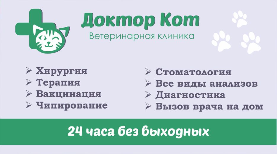 fd978f84386739.5d5ba4a31a0da.png