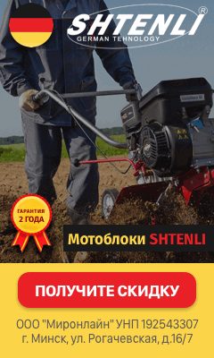 Shtenli_05opt.gif
