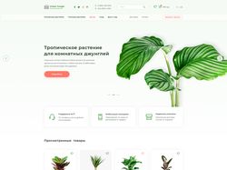 Дизайн интернет-магазина комнатных растений