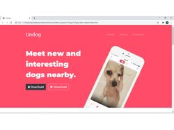 Tindog - experimental Landing page