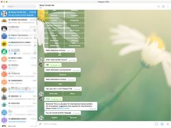 Telegram бот сервиса международных денежных перево