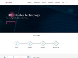 LUsoft LLC