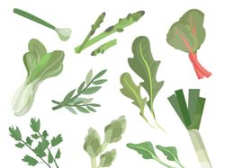 Вектораная иллюстрация овощи