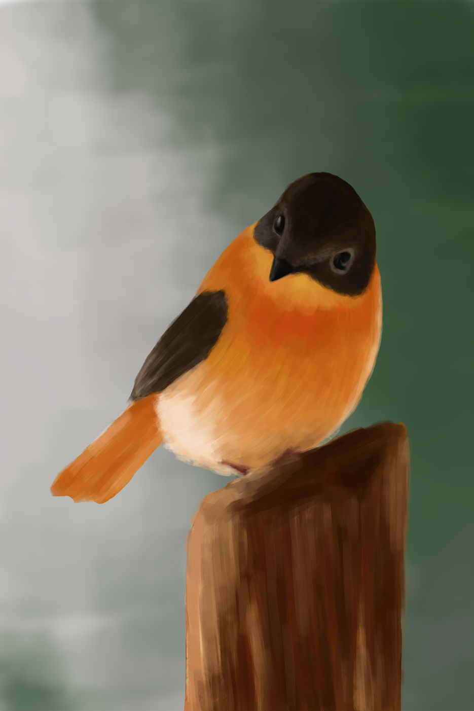 bird.jpg