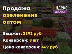 Оптовая продажа озеленения