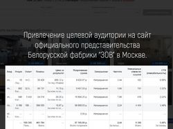 Привлечение ЦА в магазин "ЗОВ"