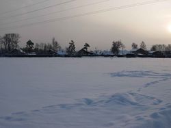 Зимнее поле