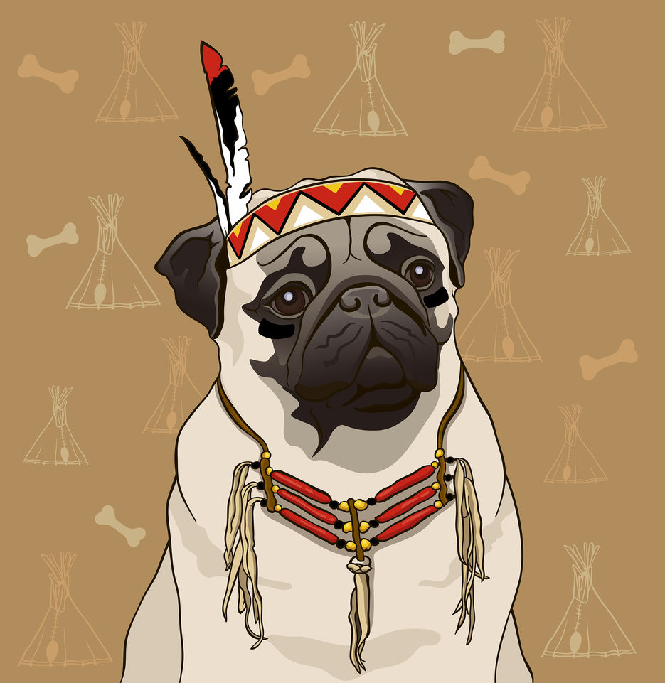mops1 копия.jpg