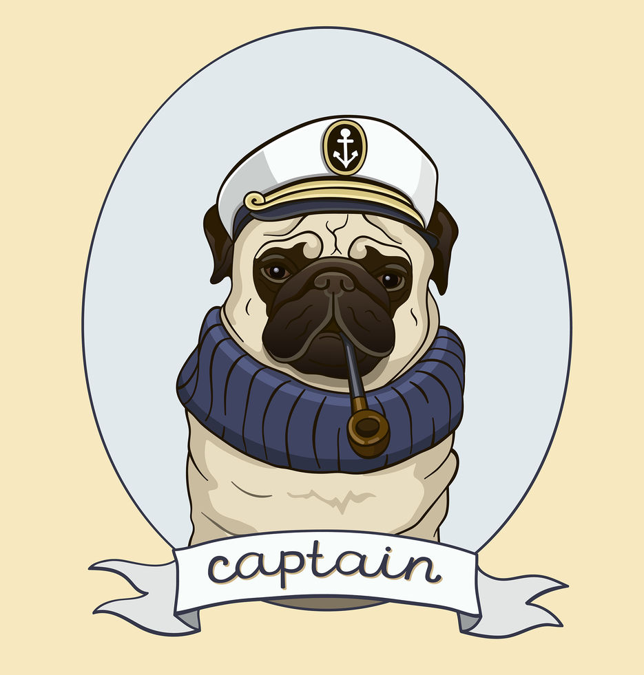 mops3 копия.jpg