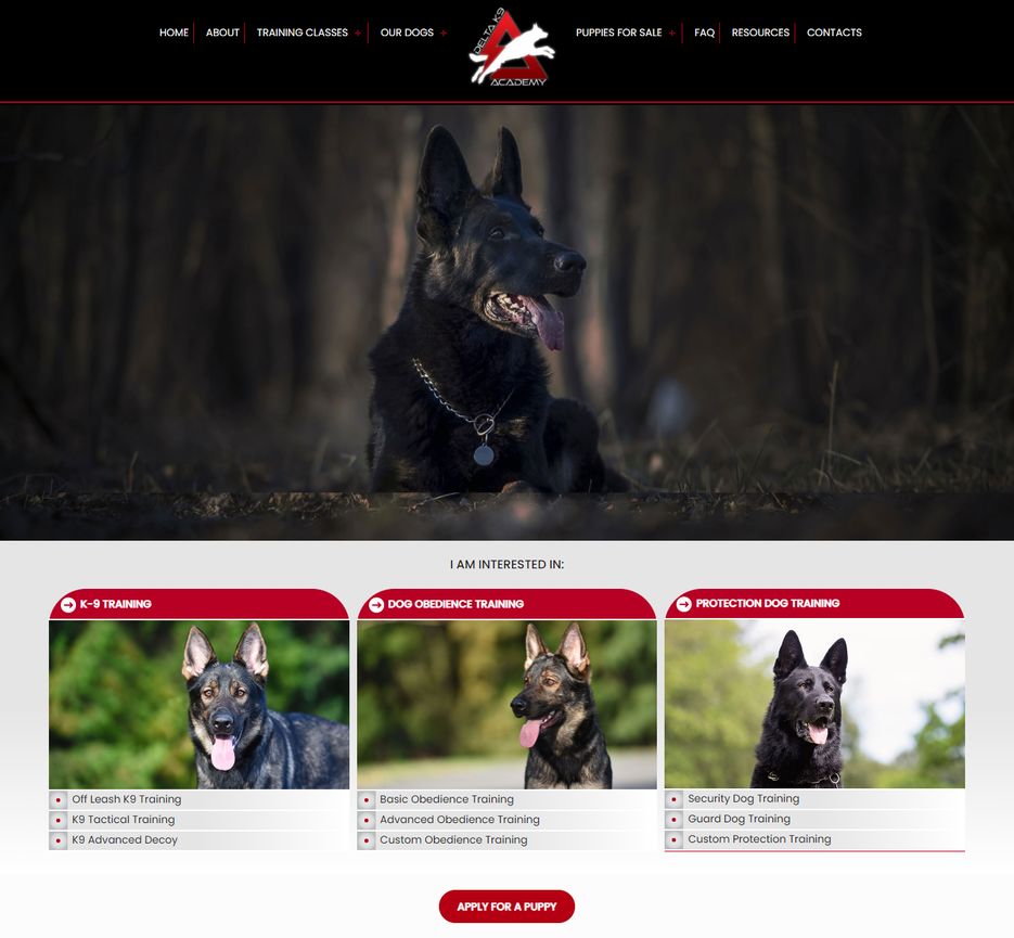 09-24-2020 homepage .png