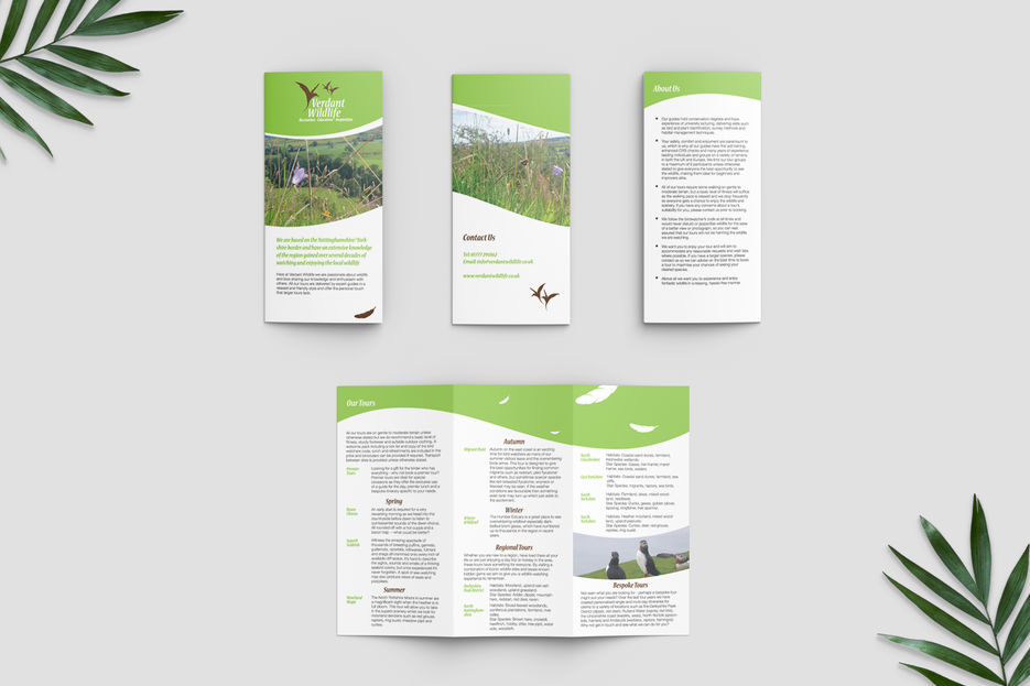 Free-Trifold-Brochure-Mockup.jpg