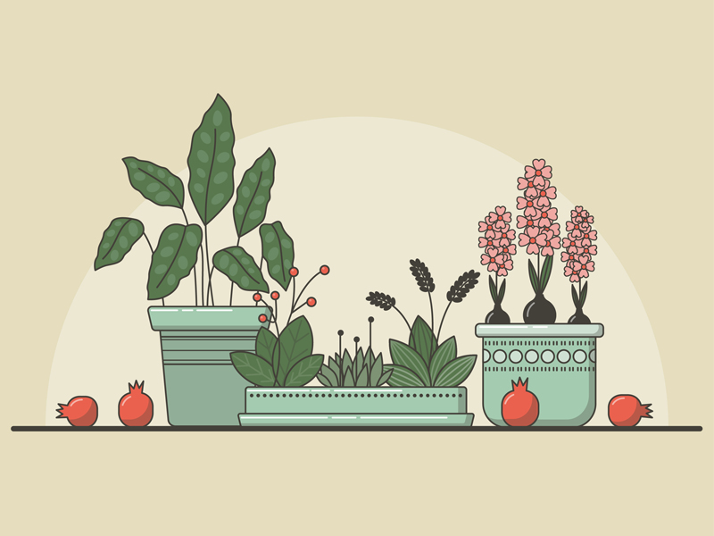 plants.jpg
