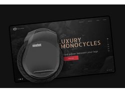 LUXURY MONOCYCLES