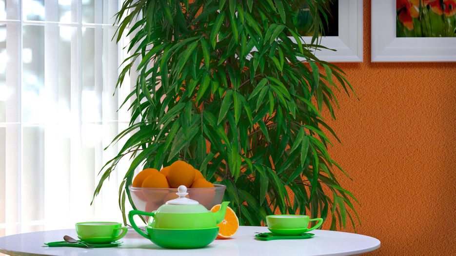 Orange_2_F.jpg