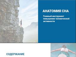 Презентация в стиле минимализм
