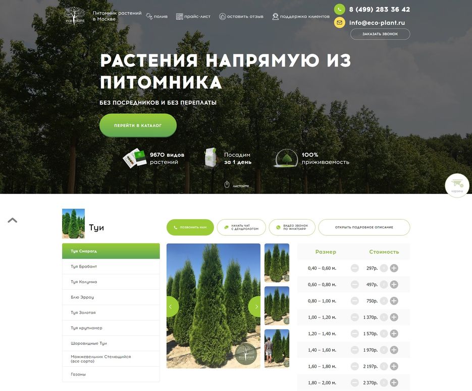 главная.jpg