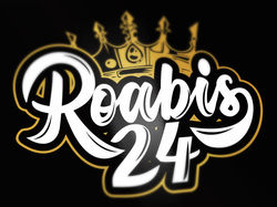 Логотип именной: Roabis 24
