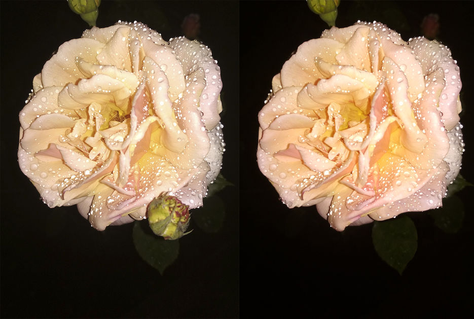 Untitled-4.jpg