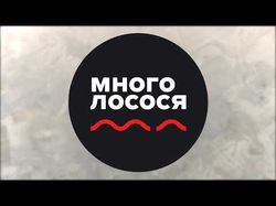 Видео сделано для ресторана «Много лосося»
