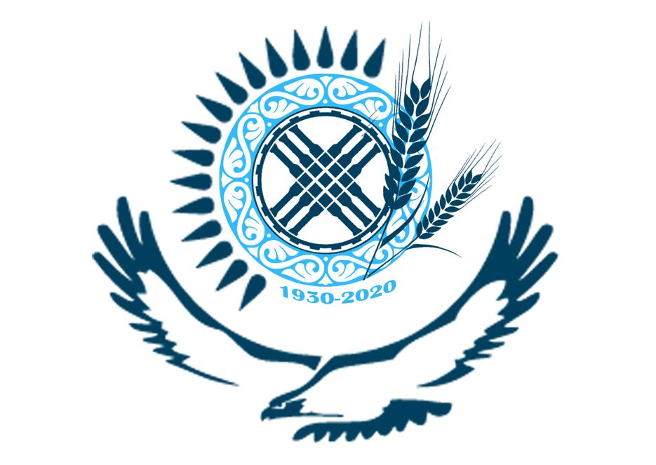 Без имени-1.png