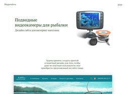Камеры для подводной рыбалки