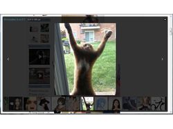 Фотоальбом