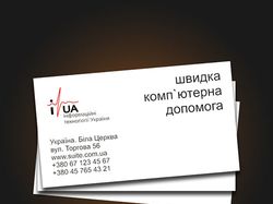 Інформаційні технології України