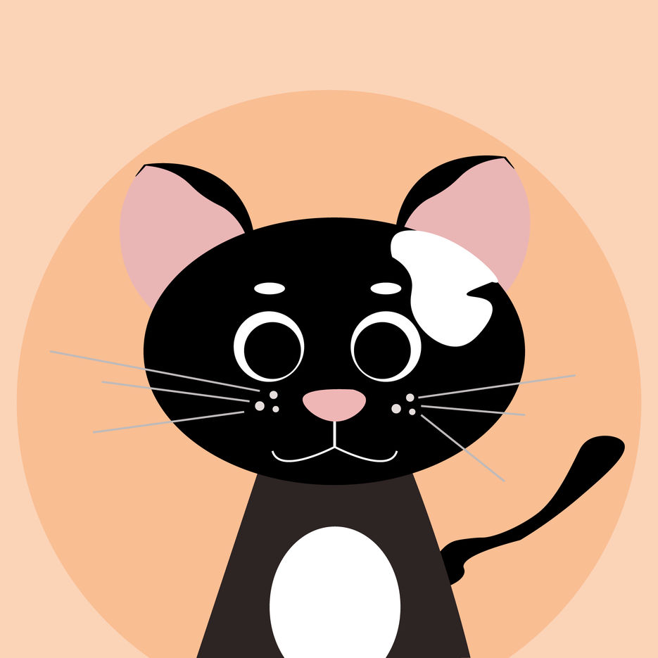 cat-illustration.jpg