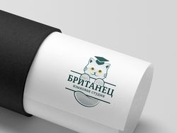 Логотип и баннер для языковой студии "БРИТАНЕЦ"