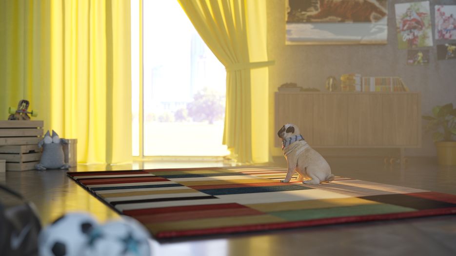 pug.jpg