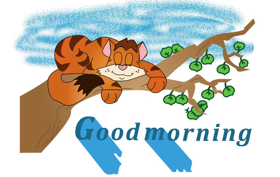 котик.png