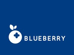 Logo Blue Berry