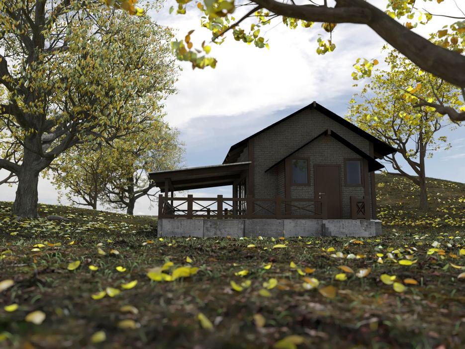 House in forest final5 paint photosh calor.jpg