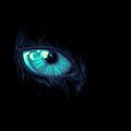 Neullum