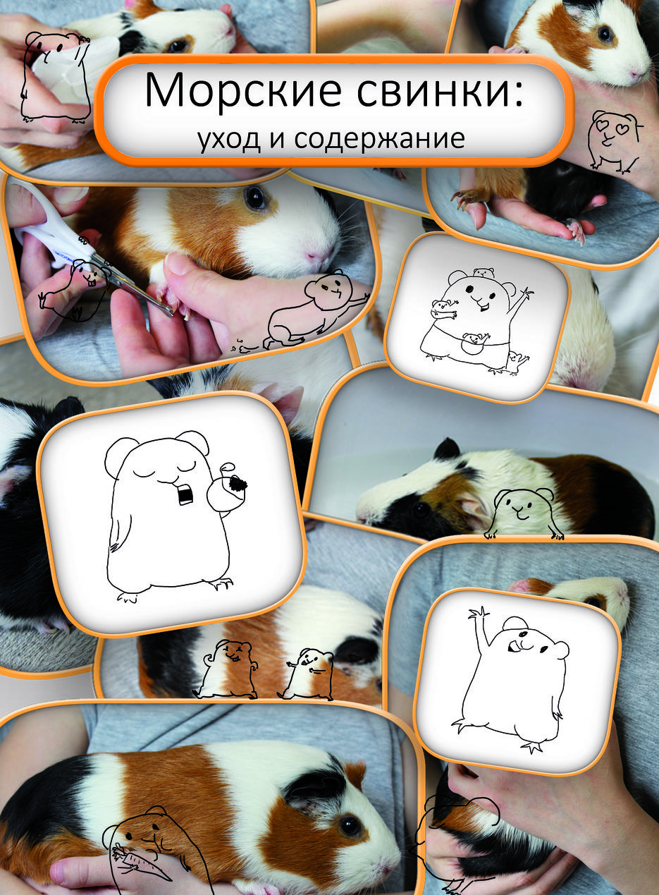 обложка.jpg