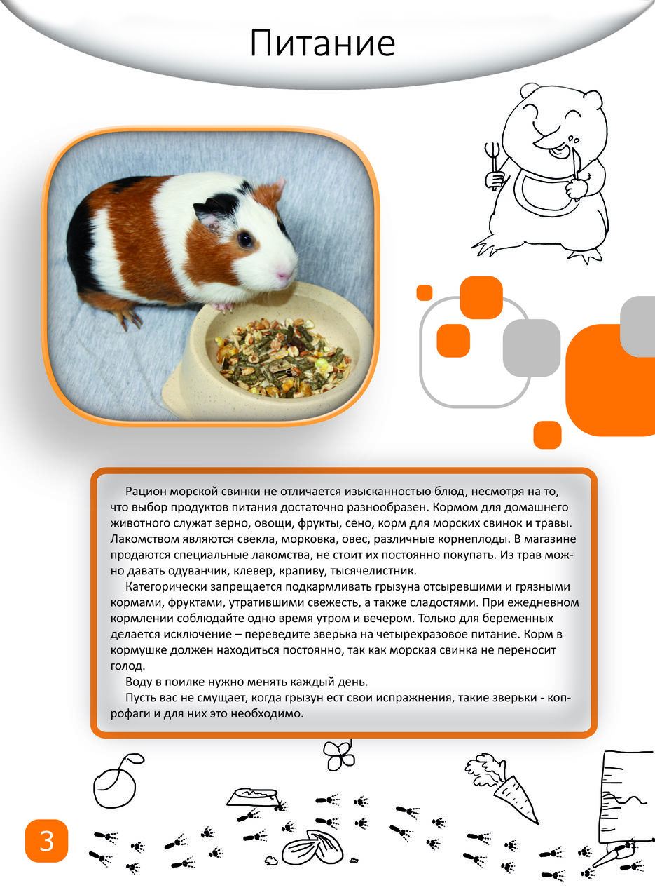 Питание стр 5.jpg