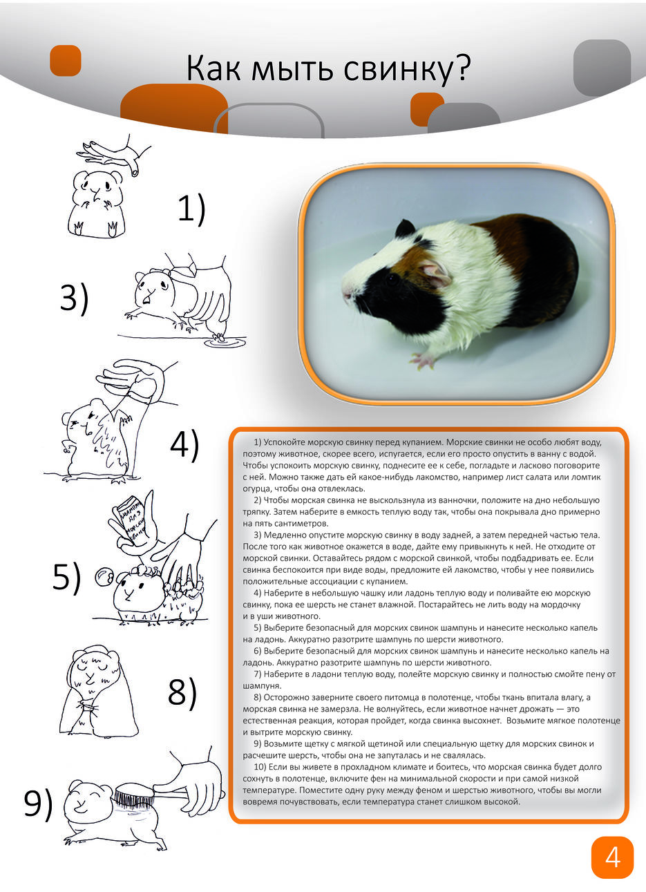 Мытьё стр 6.jpg