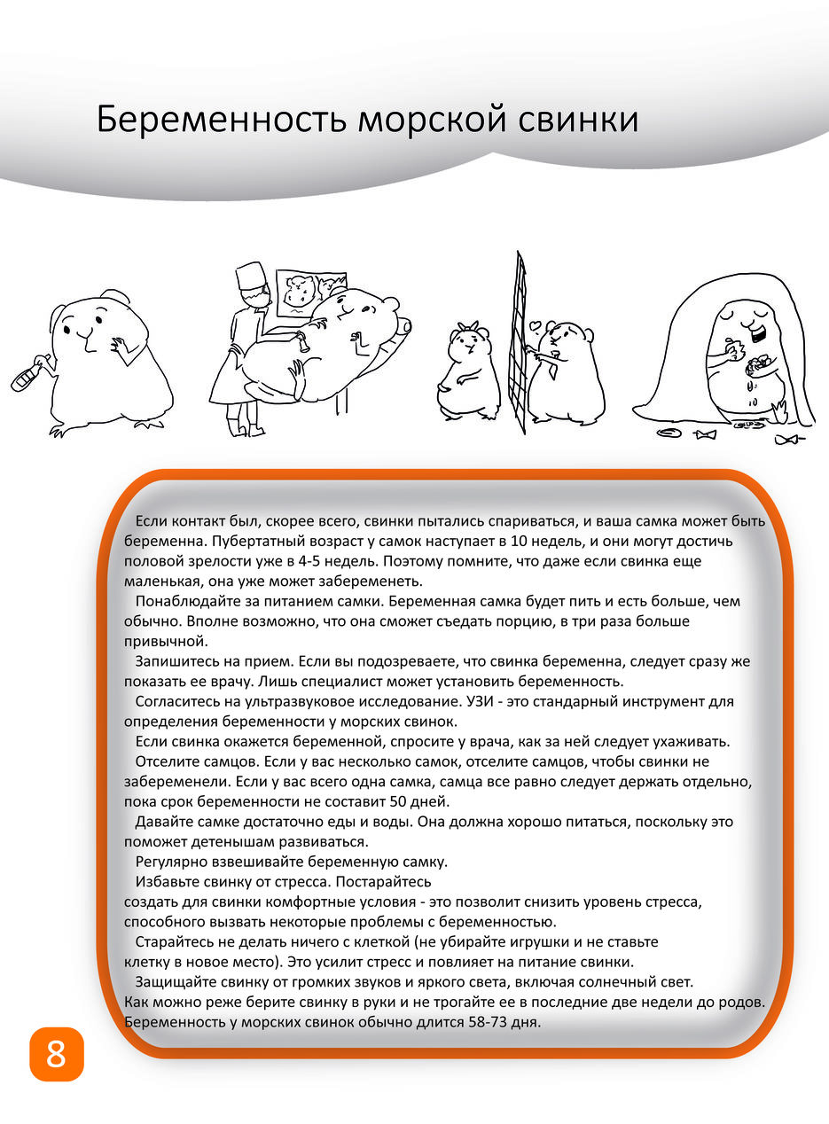 Беременность стр 10.jpg