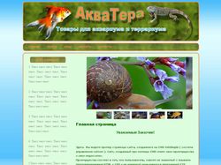 Проект дизайна сайта "АкваТера"