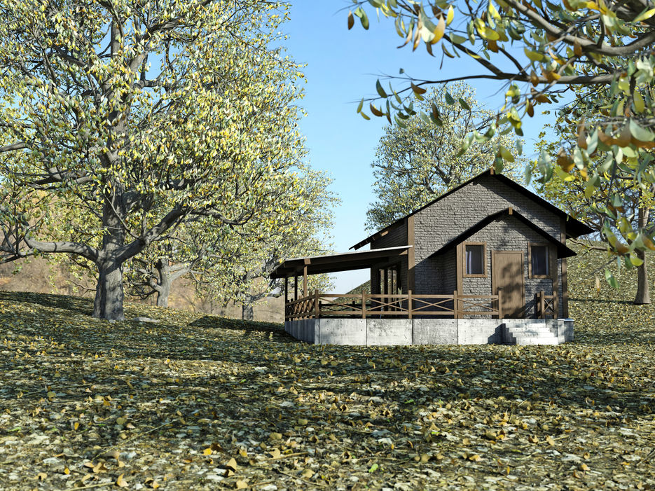 модель дома forestfloor correctwood releaf get leavs1_PhysCamera001_10-29photo2.jpg