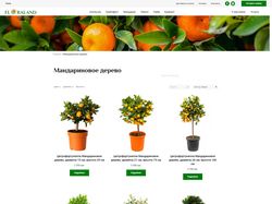 Интернет магазин Цитрусовых растений
