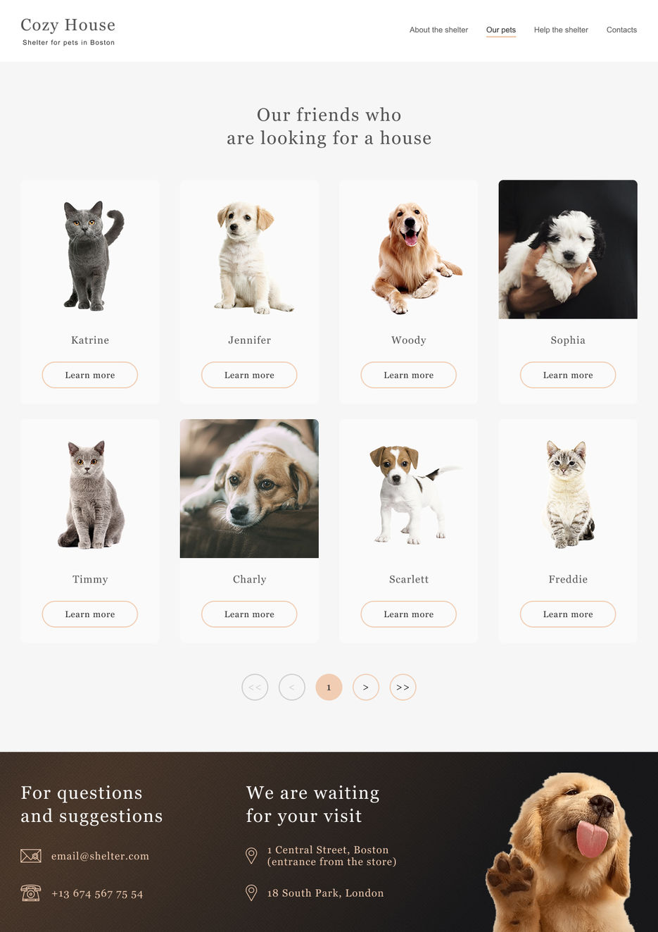 shelter-pets-1280px.jpg