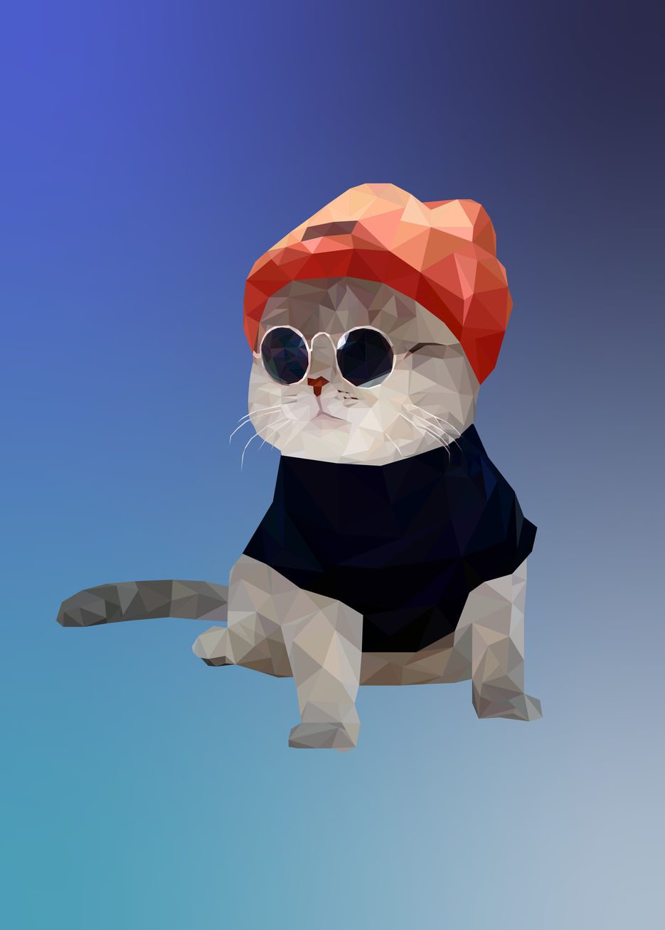 Котик.jpg